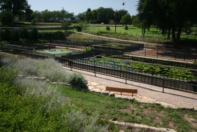 The International Waterlily Garden 