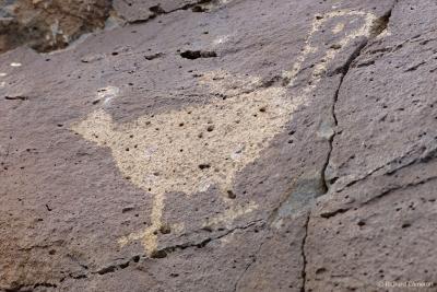 Petroglyph National Monument