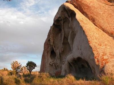 Désert de Mojave