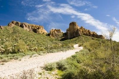 Sonora desert