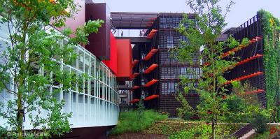 Musée du Quai Branly