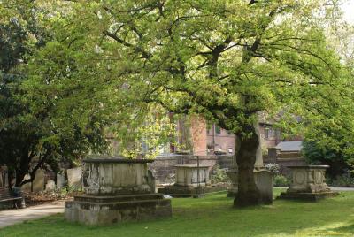 Cemetery St George’s Gardens