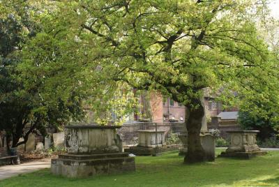 Cemetery St George’s Gardens