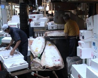 Le marché de Tsukiji