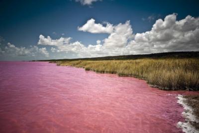 Le lac Rose Retba