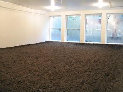 The New York Earth Room