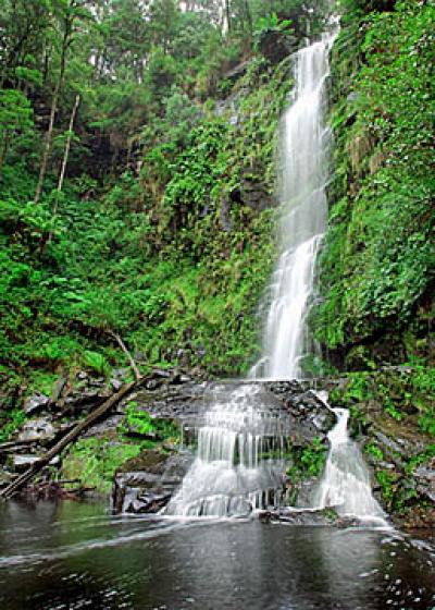 Erskine Falls