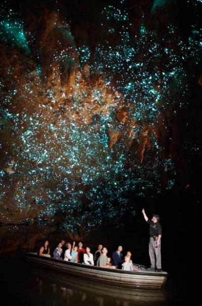 Waitomo caves