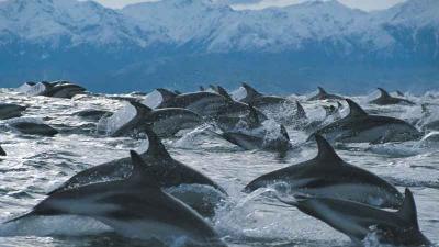 Kaikoura