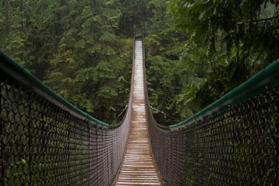 Lynn Canyon Park 