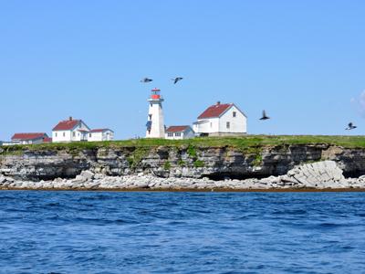 L’île aux perroquets