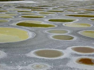 Spotted Lake