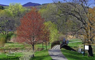 Stowe Recreation Path