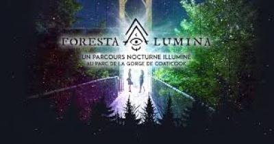 Foresta Lumina au Parc de la Gorge de Coaticook