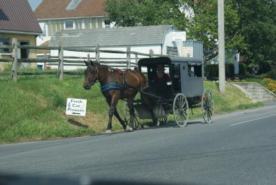 Les Amish de Lancaster