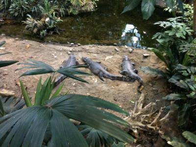 Biodôme de Montréal