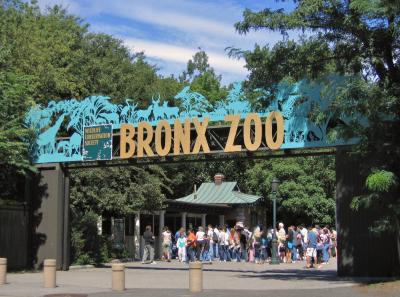Zoo du Bronx