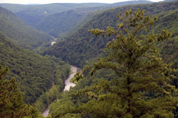 Leonard Harrison State Park