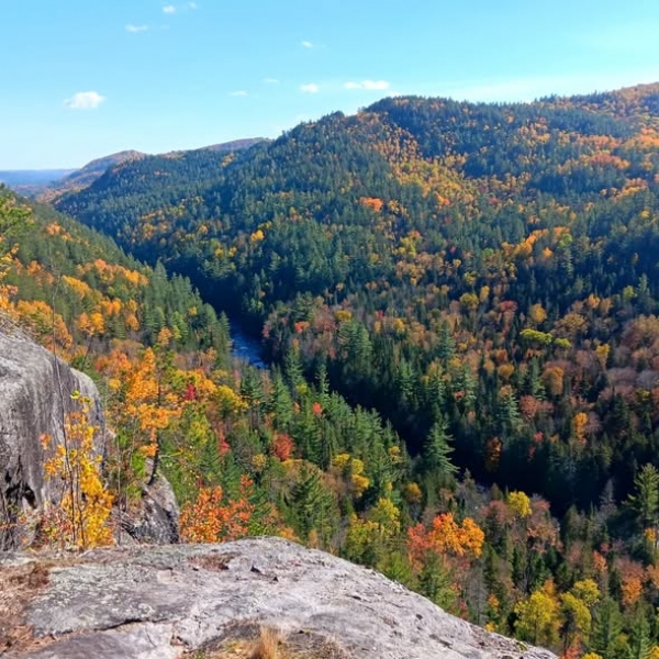 Parc régional de la Forêt Ouareau