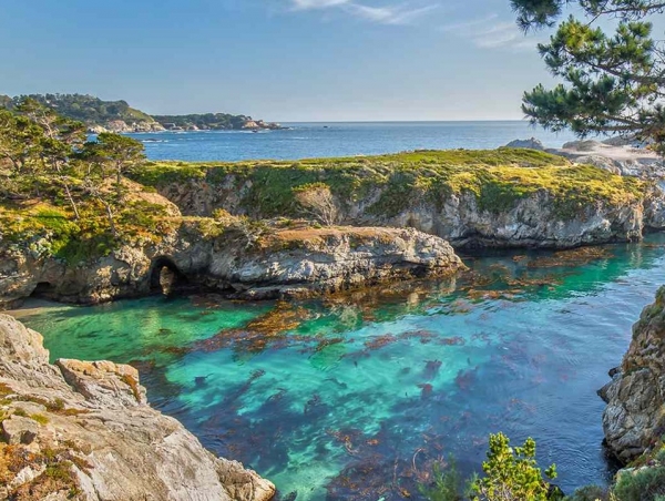 Point Lobos State