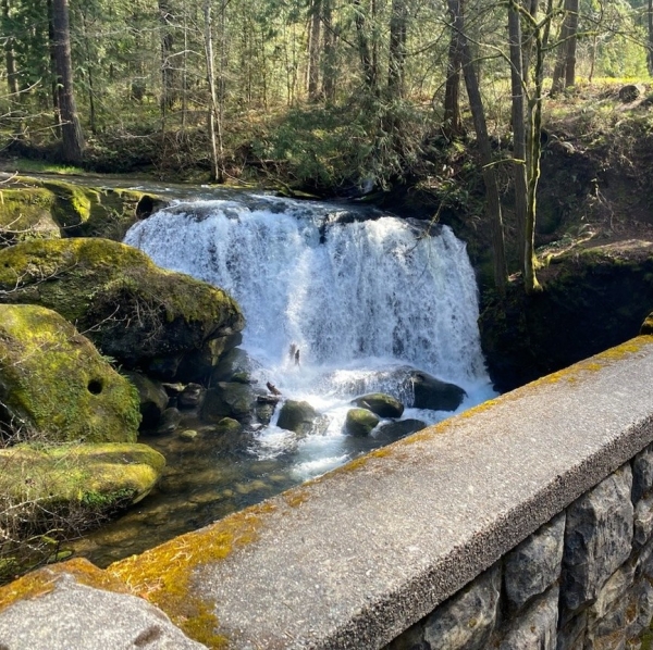 Whatcom Falls Park